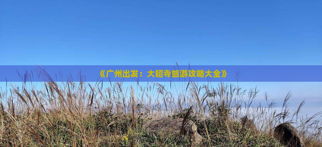 《广州出发：大昭寺旅游攻略大全》