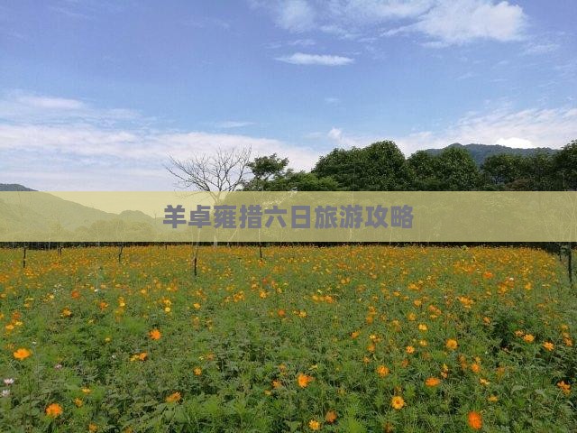 羊卓雍措六日旅游攻略
