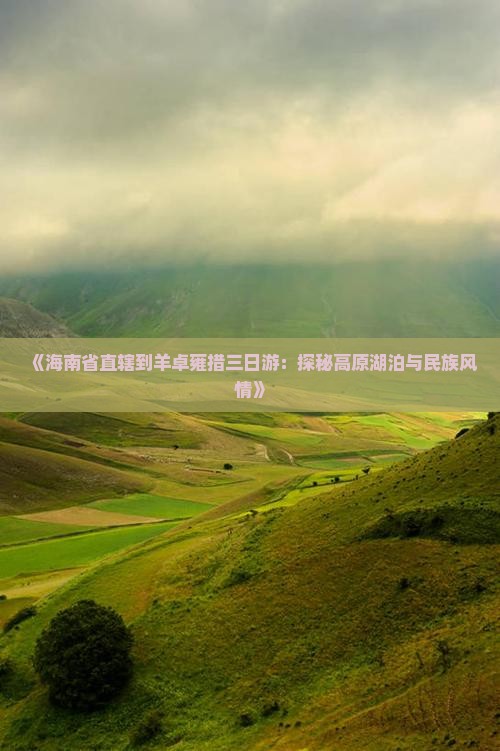 《海南省直辖到羊卓雍措三日游：探秘高原湖泊与民族风情》