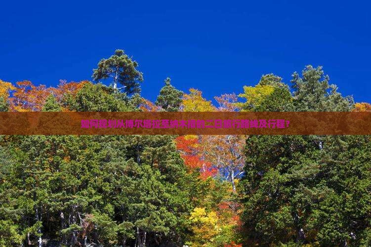 如何规划从博尔塔拉至纳木措的二日旅行路线及行程？