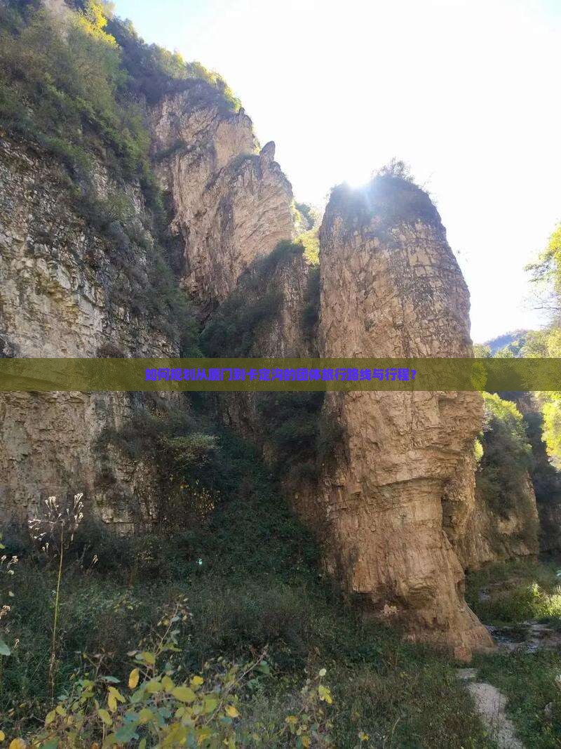 如何规划从厦门到卡定沟的团体旅行路线与行程？
