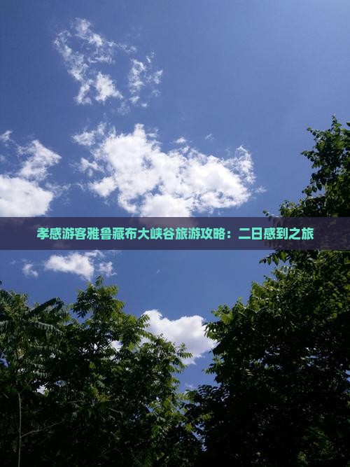 孝感游客雅鲁藏布大峡谷旅游攻略：二日感到之旅
