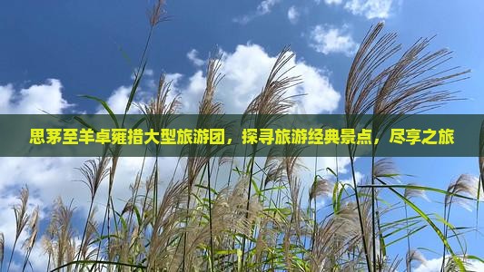 思茅至羊卓雍措大型旅游团，探寻旅游经典景点，尽享之旅