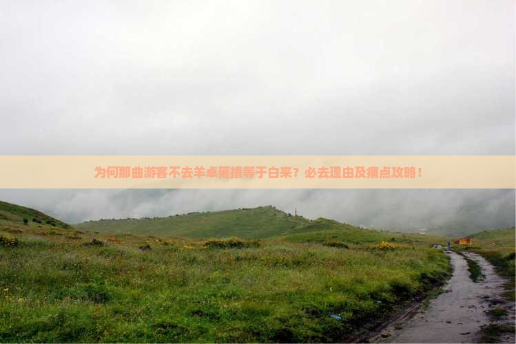 为何那曲游客不去羊卓雍措等于白来？必去理由及痛点攻略！