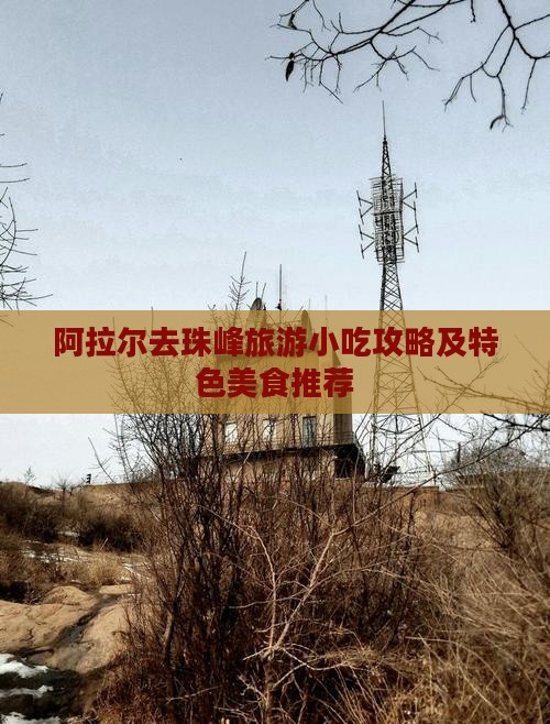 阿拉尔去珠峰旅游小吃攻略及特色美食推荐