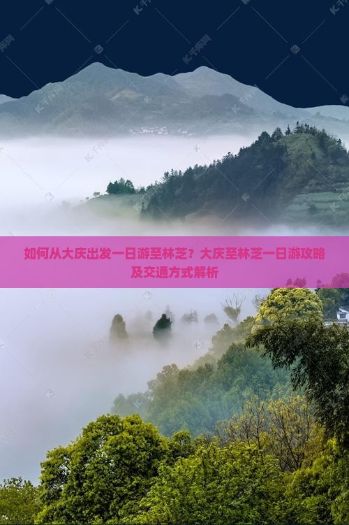 如何从大庆出发一日游至林芝？大庆至林芝一日游攻略及交通方式解析