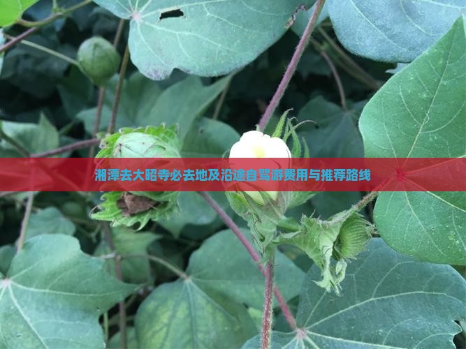 湘潭去大昭寺必去地及沿途自驾游费用与推荐路线