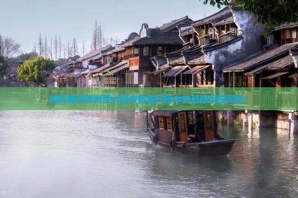 如何解决漳州至大昭寺自由行团中的高原反应问题？