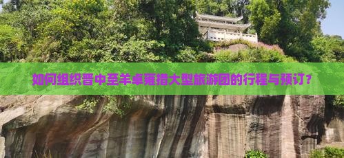 如何组织晋中至羊卓雍措大型旅游团的行程与预订？