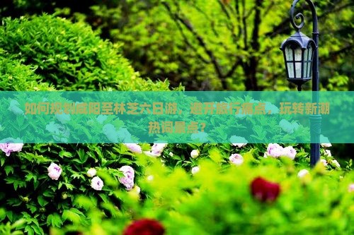 如何规划咸阳至林芝六日游，避开旅行痛点，玩转新潮热词景点？