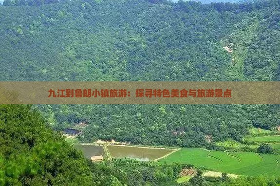 九江到鲁朗小镇旅游：探寻特色美食与旅游景点