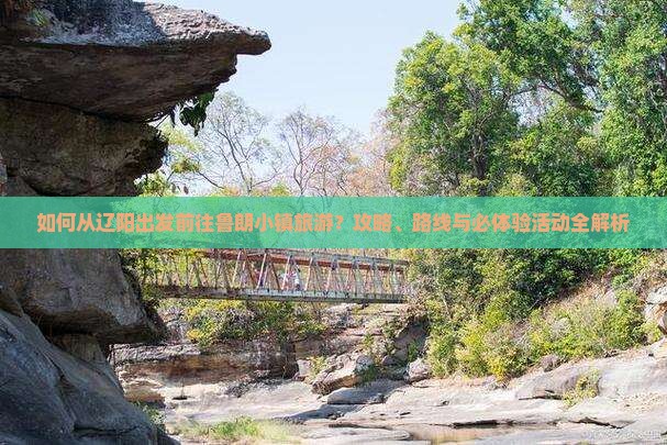 如何从辽阳出发前往鲁朗小镇旅游？攻略、路线与必体验活动全解析