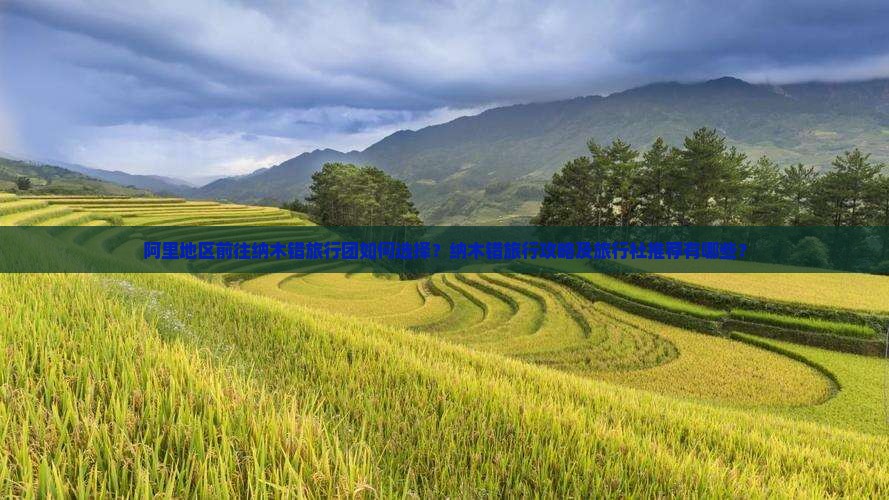 阿里地区前往纳木错旅行团如何选择？纳木错旅行攻略及旅行社推荐有哪些？
