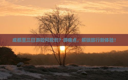成都至三日游如何规划？游痛点，解锁旅行新体验！