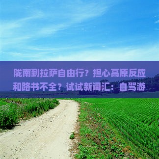 陇南到拉萨自由行？担心高原反应和路书不全？试试新词汇：自驾游、攻略、必备tips