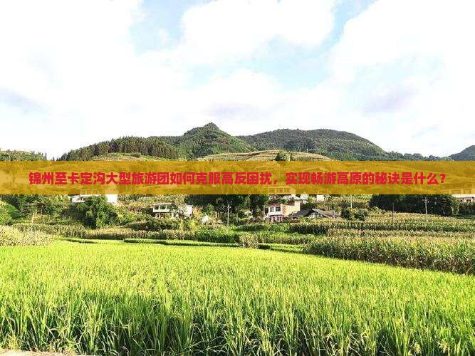 锦州至卡定沟大型旅游团如何克服高反困扰，实现畅游高原的秘诀是什么？