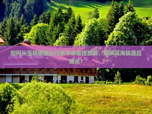 如何从玉林便捷出行至羊卓雍措旅游，解决高海拔适应痛点？