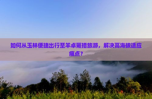如何从玉林便捷出行至羊卓雍措旅游，解决高海拔适应痛点？