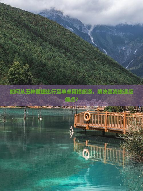 如何从玉林便捷出行至羊卓雍措旅游，解决高海拔适应痛点？