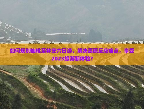 如何规划仙桃至林芝六日游，解决高原反应痛点，享受2023旅游新体验？