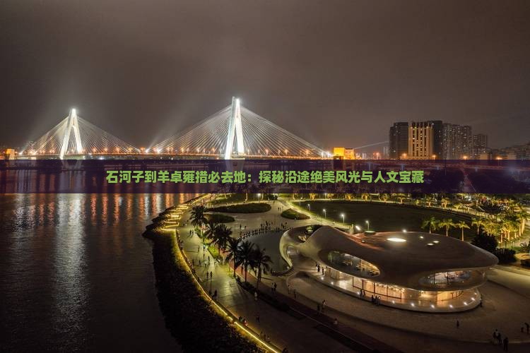 石河子到羊卓雍措必去地：探秘沿途绝美风光与人文宝藏