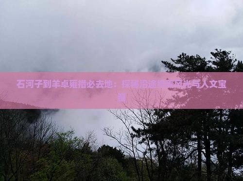石河子到羊卓雍措必去地：探秘沿途绝美风光与人文宝藏