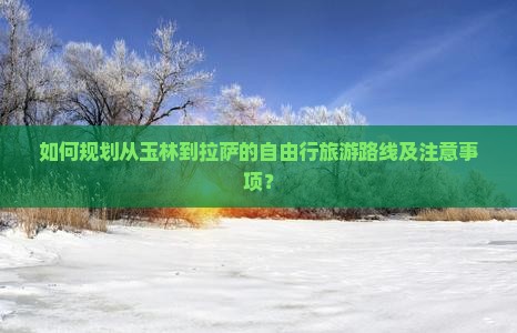 如何规划从玉林到拉萨的自由行旅游路线及注意事项？