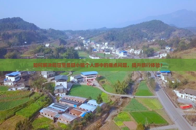 如何解决和田至鲁朗小镇个人游中的痛点问题，提升旅行体验？