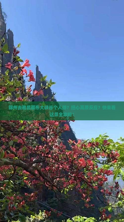 锦州去雅鲁藏布大峡谷个人游？担心高原反应？快来看这条全攻略！