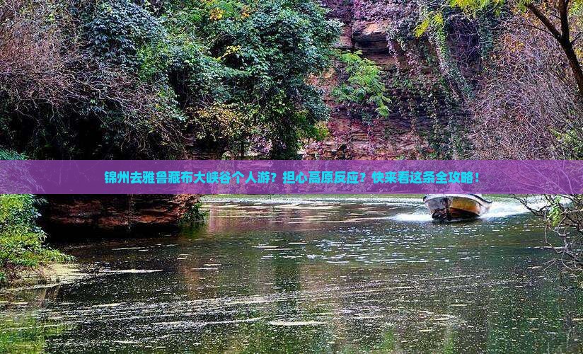 锦州去雅鲁藏布大峡谷个人游？担心高原反应？快来看这条全攻略！