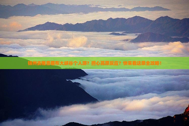 锦州去雅鲁藏布大峡谷个人游？担心高原反应？快来看这条全攻略！