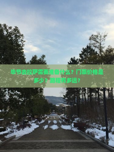 毕节去拉萨需要准备什么？门票价格是多少？路程有多远？