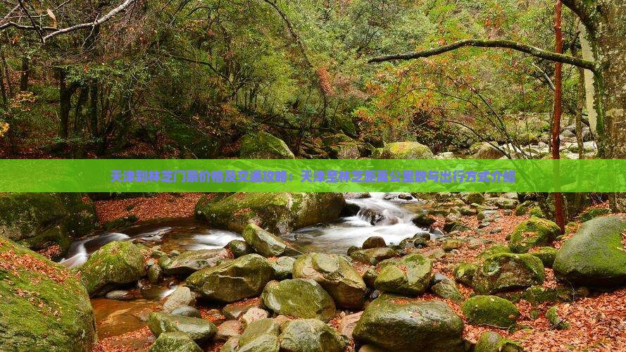 天津到林芝门票价格及交通攻略：天津至林芝距离公里数与出行方式介绍