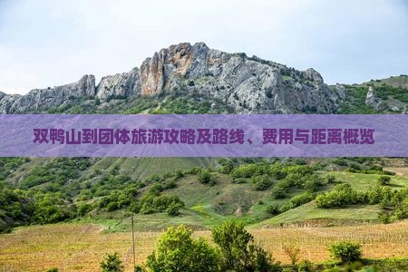 双鸭山到团体旅游攻略及路线、费用与距离概览