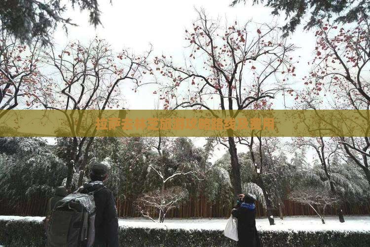 拉萨去林芝旅游攻略路线及费用