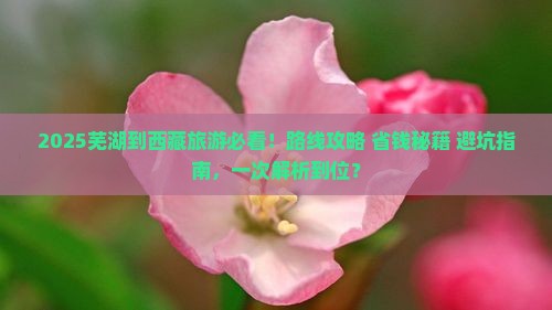 芜湖到西藏哪里玩 芜湖到西藏哪里玩