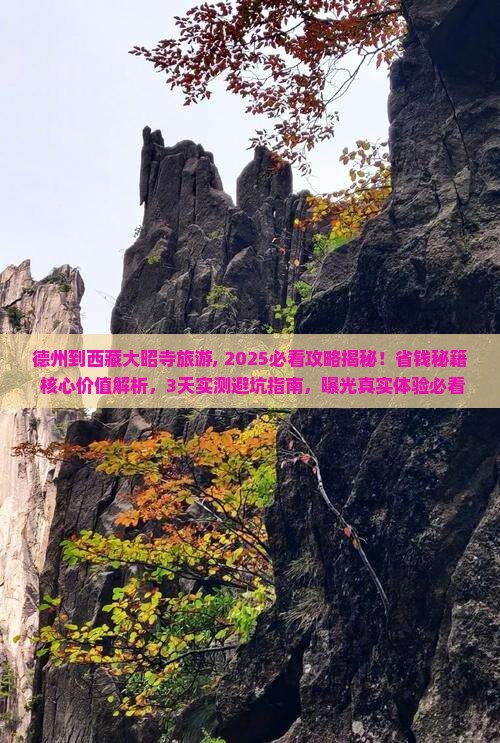 德州到西藏大昭寺旅游