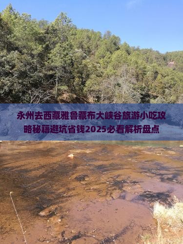 永州去西藏雅鲁藏布大峡谷旅游小吃