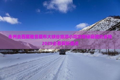 永州去西藏雅鲁藏布大峡谷旅游小吃