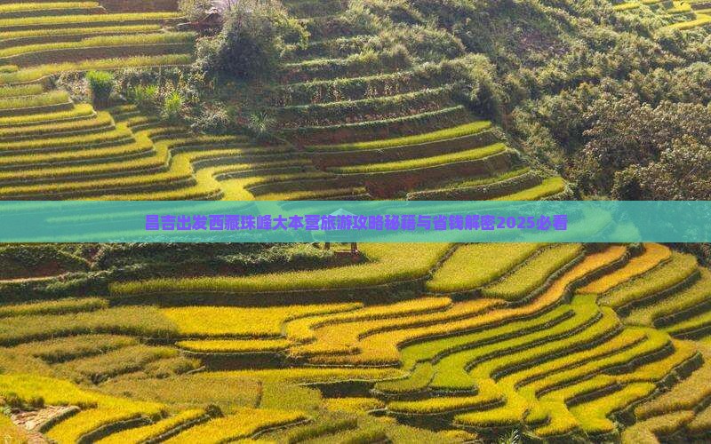 昌吉去西藏珠峰大本营自由行
