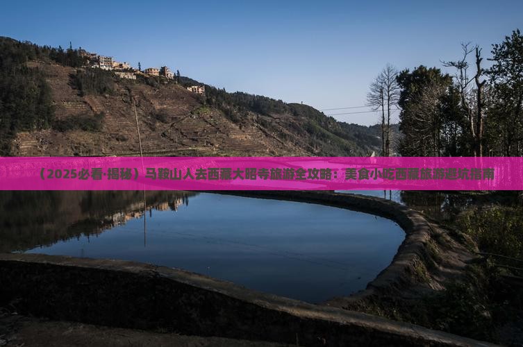 马鞍山去西藏大昭寺旅游小吃