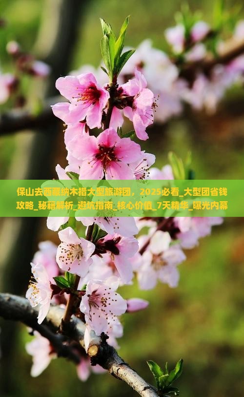 保山去西藏纳木措大型旅游团