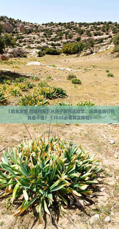 济宁去西藏布达拉宫自由行 济宁去西藏布达拉宫自由行