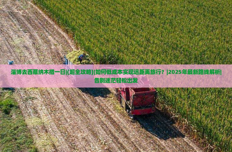 淄博去西藏纳木措一日