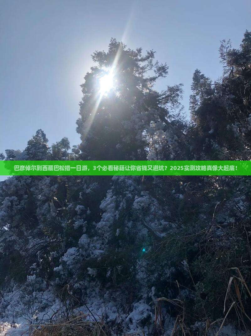 巴彦倬尔到西藏巴松措一日