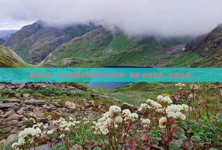 通化到西藏鲁朗小镇旅游小吃