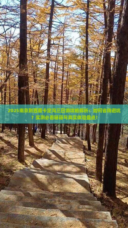 南京到西藏卡定沟三日游