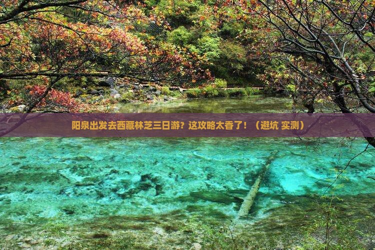 阳泉去西藏林芝三日游