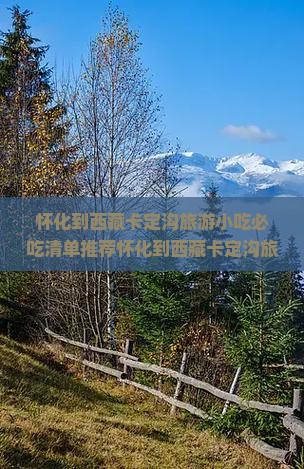 怀化到西藏卡定沟旅游小吃