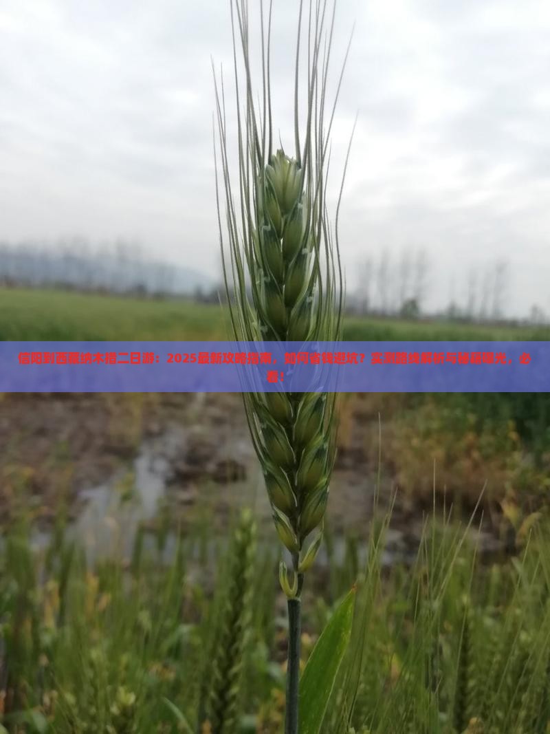 信阳到西藏纳木措二日游 信阳到西藏纳木措二日游